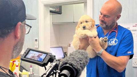Film-maker Danny MacGregor working behind the camera in a veterinary clinic. His back is to the camera. TV vet and animal welfare campaigner Dr Marc Abraham OBE is in front of him holding a dog. He is smiling. There is a stethoscope around his neck.