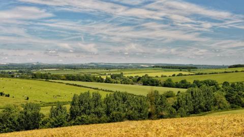 MONDAY - Green fields and a blue sky over Tarrant Valley in Dorset