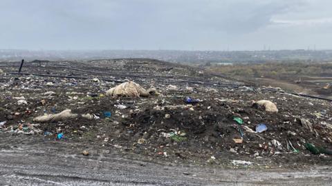 Waste strewn across a landfill site on a cloudy day.