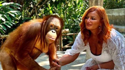 Kelly Kershaw is kneeling down in a white dress holding the hand of an orangutan, which is looking at the camera. Behind them is a forest environment.