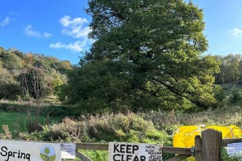 View from roadside looking into field