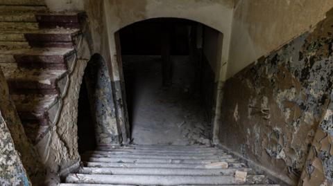 A view of stone steps descending into a dark basement. The walls have mould and peeling paint. Rubble is scattered on the floor.