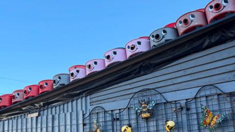 Henry Hoovers on a roof