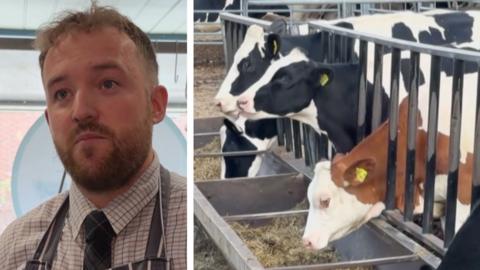 A composite image, with one side showing the farmer speaking to camera, and the other showing cows on the farm