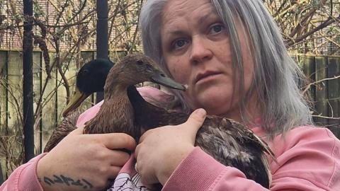 Sam Hammond, who has long straigh grey hair and is wearing a pink t-shirt, holding two brown ducks