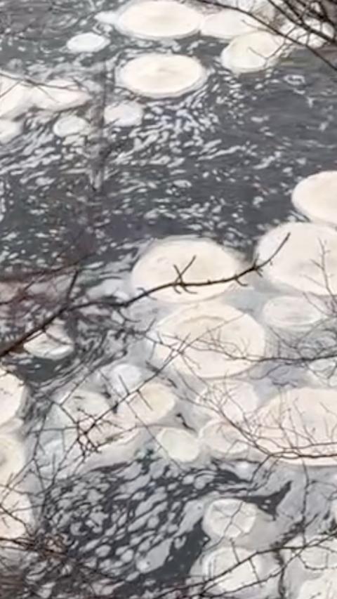 Ice pancakes at Bolton Abbey