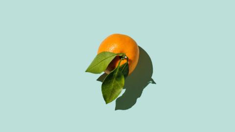 An orange with a few leaves still attached to it's stalk on a blue-green background
