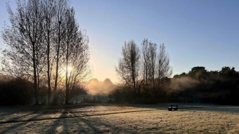 A wooden bench sits bathed in sunlight in a field of green that is still tinged with frost. The bench is also opposite several tall trees that are silhouetted against a blue sky