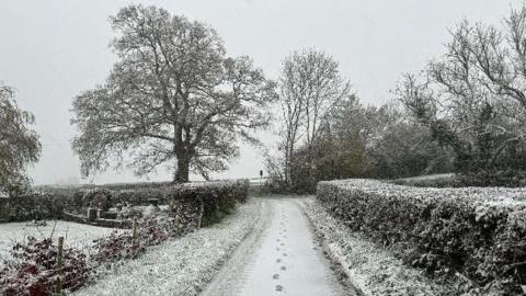 A snowy footpath with footprints walking away from the camera on a country lane in Somerset. There are hedges alongside the path and a few trees in the background.