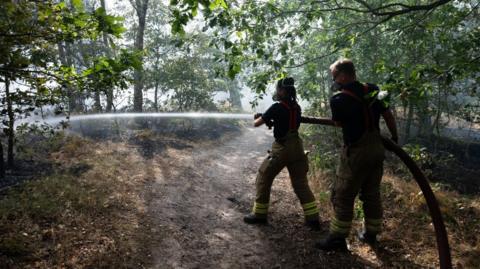 Two firefighters aim a hose jet at smouldering woodland