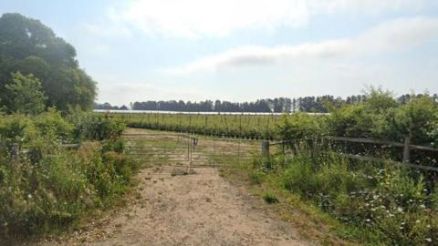 A dirt track road leading to a metal farm fence which opens up into a green field.