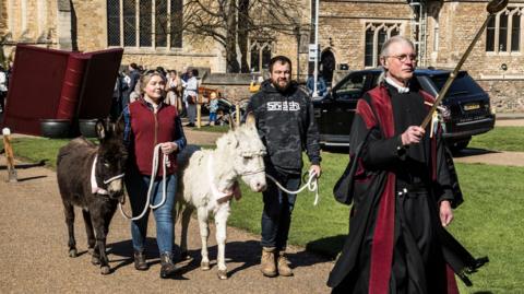 Donkeys at Peterborough Cathedral's Palm Sunday service 