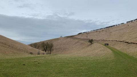 A wide, open landscape with gentle grassy hills under an overcast sky. A narrow green path curves up the right hillside, where three small figures walk in the distance. Sparse trees and a fence line sit along the lower slopes, and the dry, beige grass contrasts with the green foreground.
