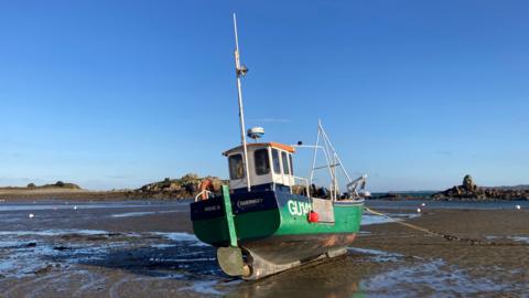 A small green and white fishing boat beached on wide, flat sands beneath a clear blue sky