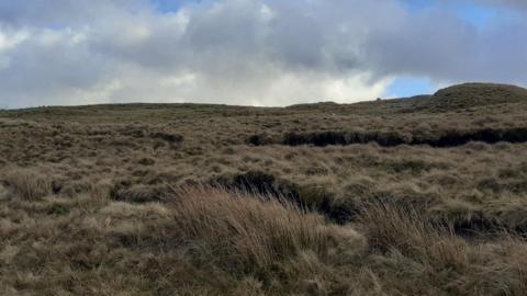 Moorland on cloudy day