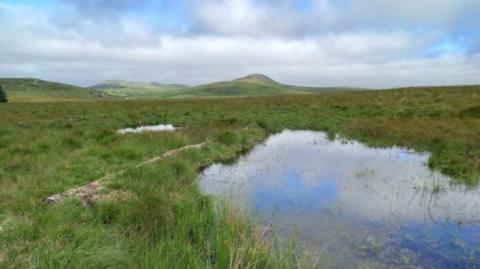 A scenic view of the grasslands with hills in the background and a small pond in front. Clouded grey skies with some blue spilling through.
