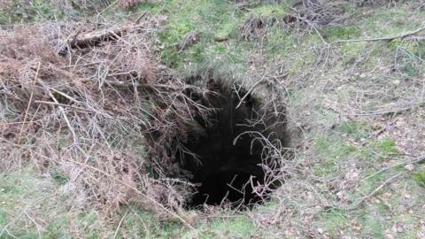 An image of a sink hole with vegetation around it