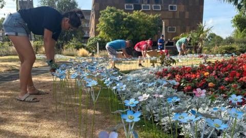 A woman in denim shorts and t-shirt crouches as she plants blue and purple metal forget-me-not flowers in grass next to a bed of white and red flowers. Others can be seen in the background doing the same. Houses are in the background.