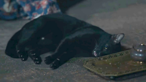 A black cat laying on the floor with its eyes and mouth open