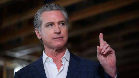 gavin newsom 