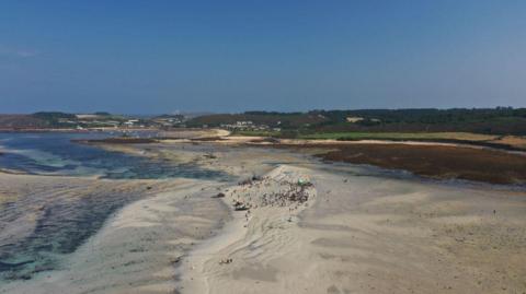 A drone shot of the Low Tide Event. 