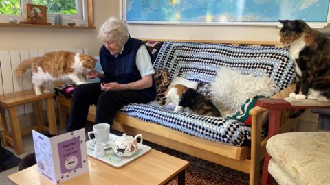 Owner of Cool for Cats Café sits on sofa surrounded by cats and a tray of tea in front of her on a table