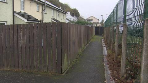 A tarmac alleyway at with a tall green fence on the right hand side and a brown wooden fence on the other. Houses can be seen behind the brown fence