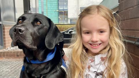 A girl with long blonde hair and a white dress printed with images of dogs, sits next to a black Labrador. The dog has a blue collar, lead and harness. There is a brick wall to the right of them, a building to the left and a black car and green college building in the background.