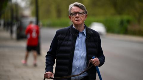 Lord Peter Mandelson wears a blue shirt and a dark jacket as he walks his dog