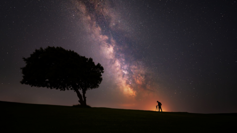 silhouettes of a man and a tree against a starry night sky