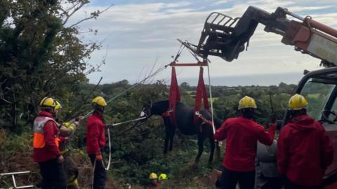 Blackberry, a brown pony with a black mane being lifted in the air using a harness fastened around her, there are people around holding ropes with red jackets and yellow helmets and shrubbery around.