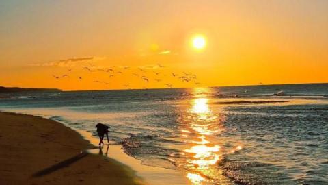 A yellow sunrise over the beach. The sun is reflecting in the water. 