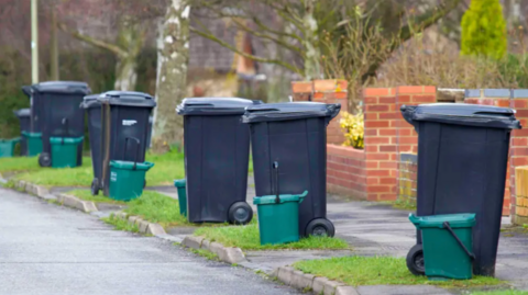Dark grey wheelie bins and smaller green food waste caddies sit on grass verges along a suburban pavement. Red brick garden walls and bare winter trees line the street behind them. The bins are placed in pairs outside several houses, awaiting collection.