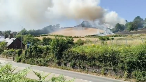 A field can be seen with plumes of smoke emerging from the grassland with houses in the foreground and trees in the background.