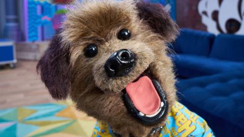 hacker t dog smiling in blue peter studio