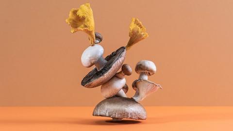 'I’m a dietitian and mushrooms could help these common health conditions'
