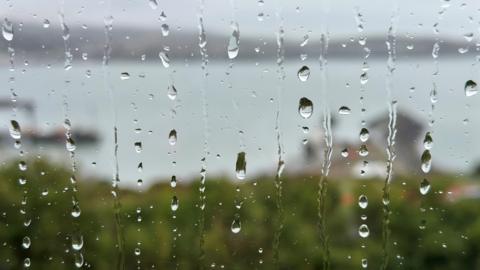 Rain on a window