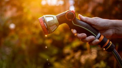 A person holds a garden hose with droplets of water dripping out of the nozzle. They are standing in a grassy garden and the hose is spotlighted by an orange hue.