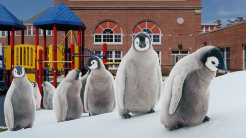 A photo of a group of penguins waddling, which has been cut out and pasted onto a background of a school playground