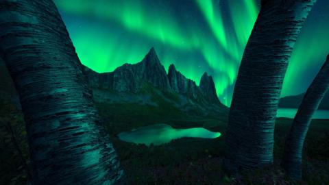 The aurora in the sky in Senja, Norway. 