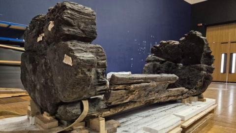 A large hollowed-out oak is wedged on blocks of wood on pallets in a hall. It is large and the wood looks aged but intact.
