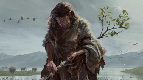 An artist’s reconstruction of a paleolithic woman producing a digging stick from a small alder tree trunk.