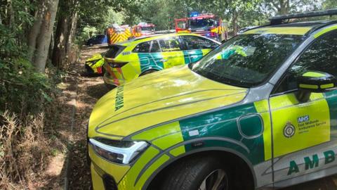 Six emergency service vehicles in a park, including two paramedic vehicles and three fire engines. There are trees all around and leaves on the ground. 