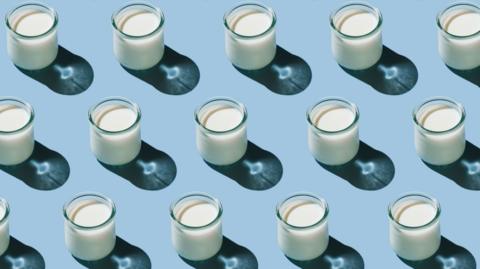Small glasses of kefir in diagonal lines on a pale blue background