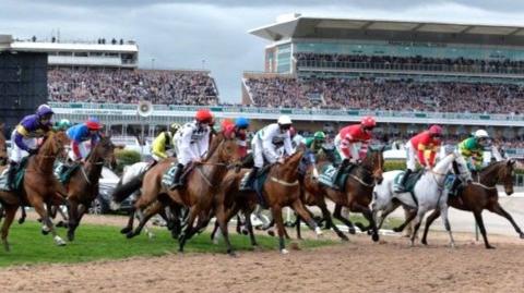 Runners in the Grand National