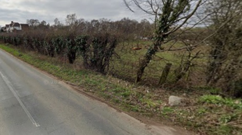 A road runs on the left of the image with a hedge dividing it from a field.