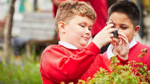 A pupil holds a micro:bit while another looks on