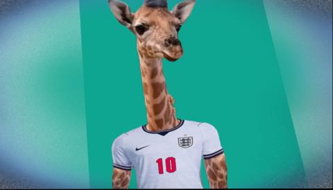 A giraffe in an England shirt edited with photoshop.