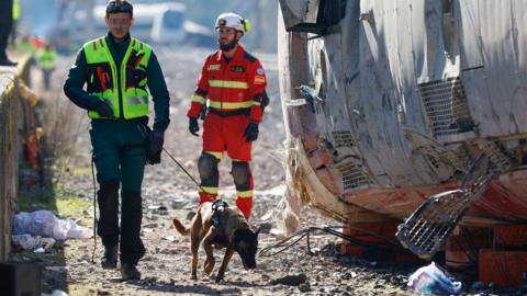 Rescue workers - one with a sniffer dog - walk next to the wreckage of a train crash in Spain.