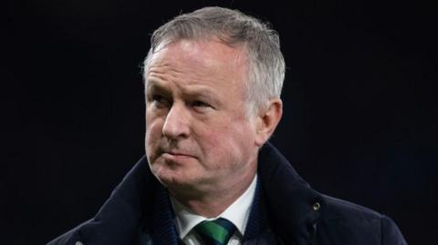Northern Ireland manager Michael O'Neill